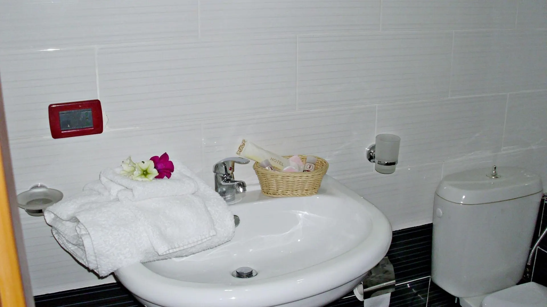 Jolly City Center Hotel Tirana Albania