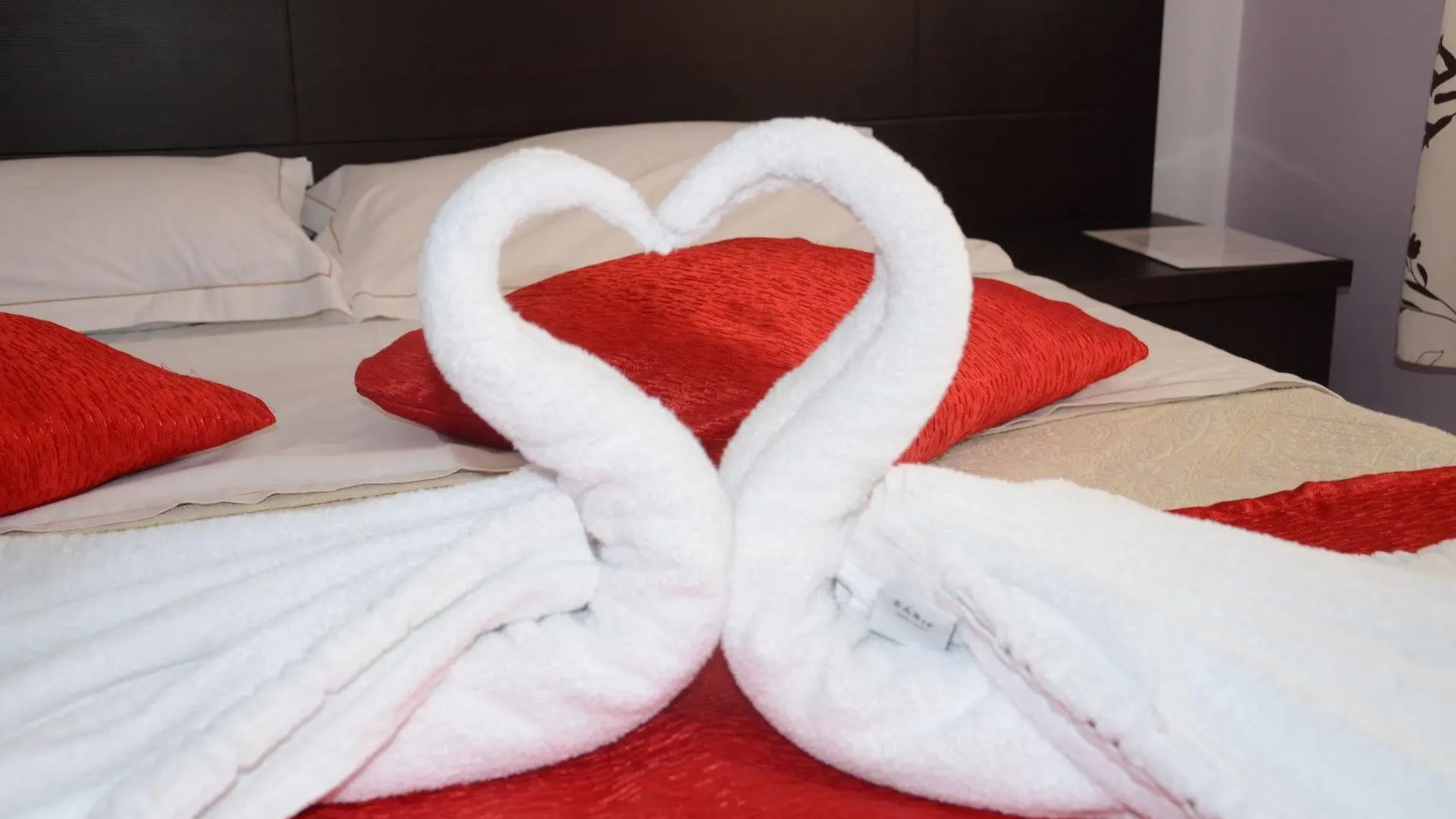 Jolly City Center Hotel Tirana